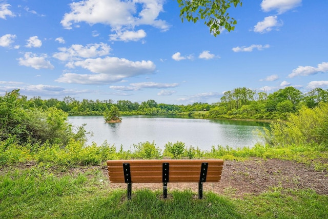 651 Dovalon Pl, Galloway, OH 43119 - water view with a heavily wooded area