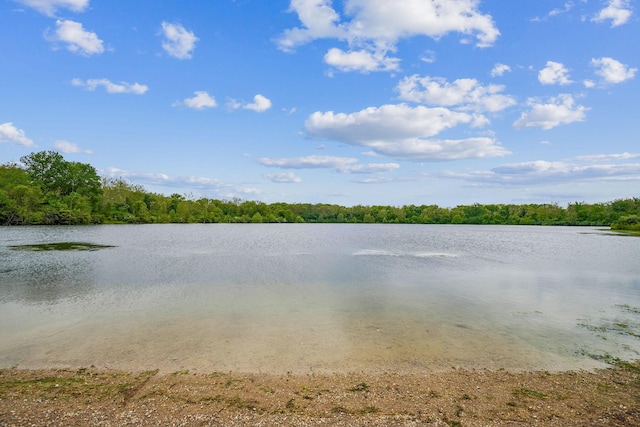 651 Dovalon Pl, Galloway, OH 43119 - water view featuring a forest