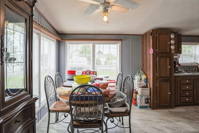 49 May Ave, Chauncey, OH 45719 - dining room featuring a textured ceiling, a ceiling fan, and vaulted ceiling