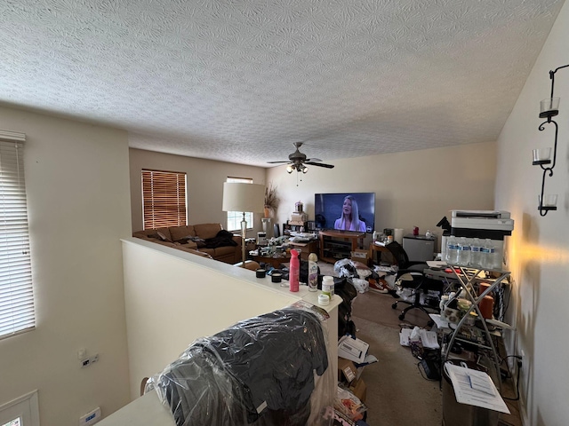 310 Abbey Ave, Lithopolis, OH 43136 - carpeted bedroom with a textured ceiling, multiple windows, and ceiling fan