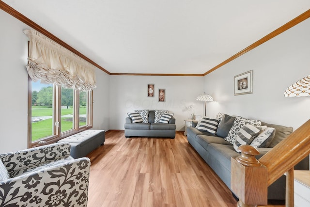 8628 N Spring Ct, Pickerington, OH 43147 - living area featuring crown molding, light wood finished floors, and baseboards