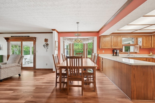 8628 N Spring Ct, Pickerington, OH 43147 - dining area featuring ornamental molding, light wood-style floors, and a textured ceiling