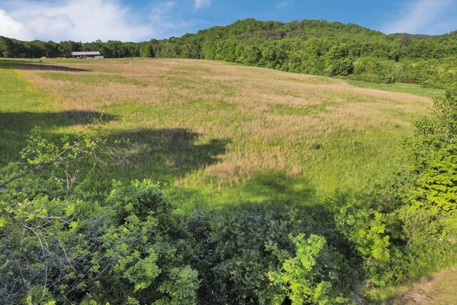 24754 Shurtz Rd, New Plymouth, OH 45654 - photo 83