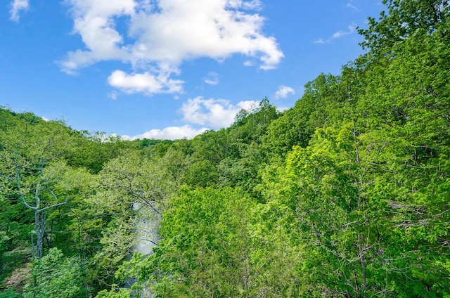 12323 Ringer Ln, Leesburg, OH 45135 - view of tree filled area
