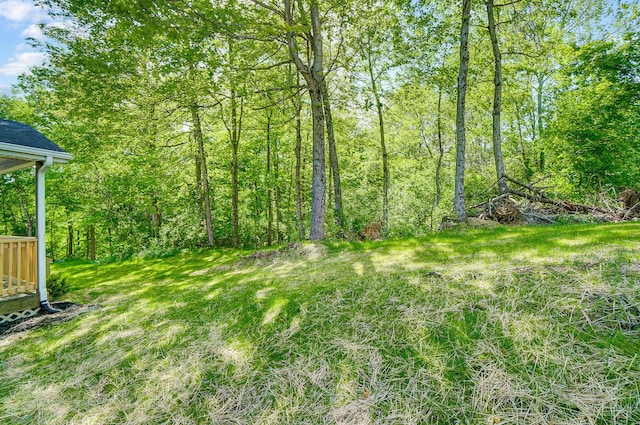 12323 Ringer Ln, Leesburg, OH 45135 - view of yard