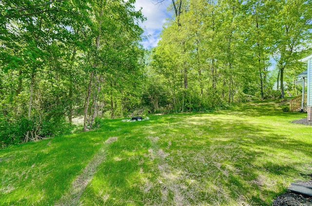 12323 Ringer Ln, Leesburg, OH 45135 - view of green lawn