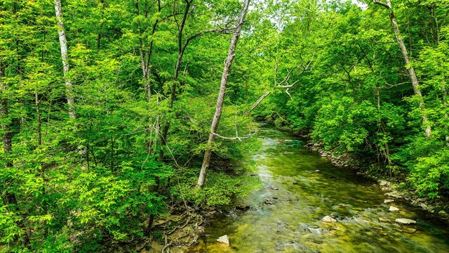 12323 Ringer Ln, Leesburg, OH 45135
