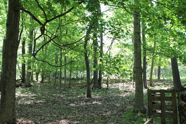 387 Mohican Ln, Sugar Grove, OH 43155 - view of wooded area