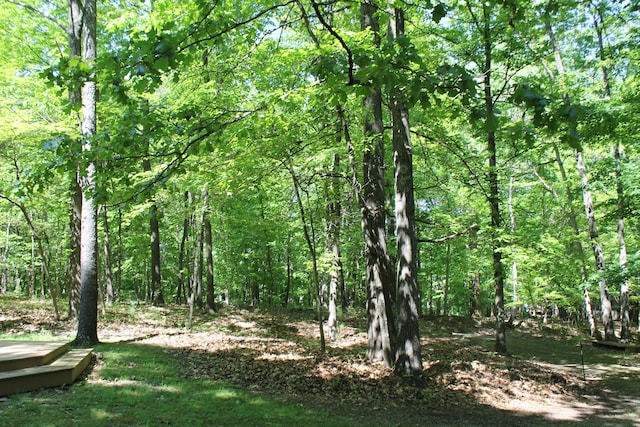 387 Mohican Ln, Sugar Grove, OH 43155 - view of tree filled area