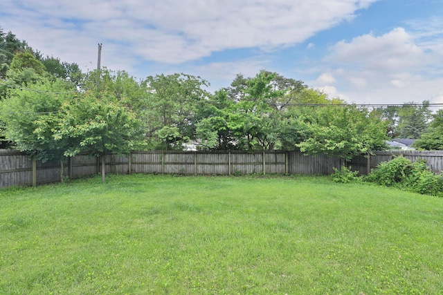 6219 Ambleside Dr, Columbus, OH 43229 - view of yard