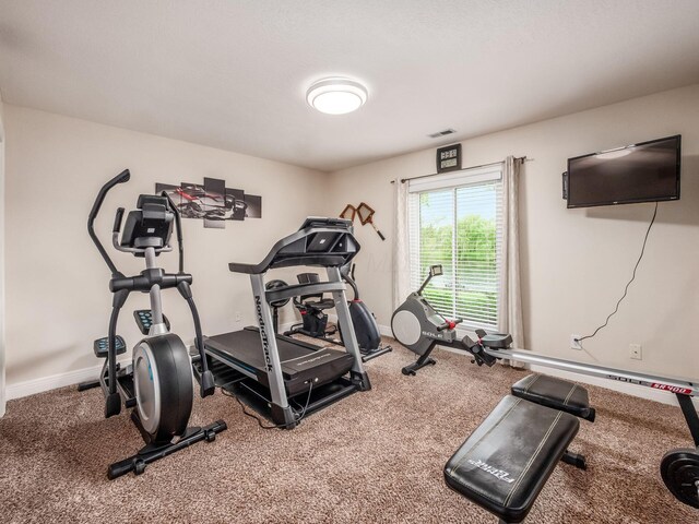 8171 Campden Lakes Blvd, Dublin, OH 43016 - exercise room with baseboards and carpet floors