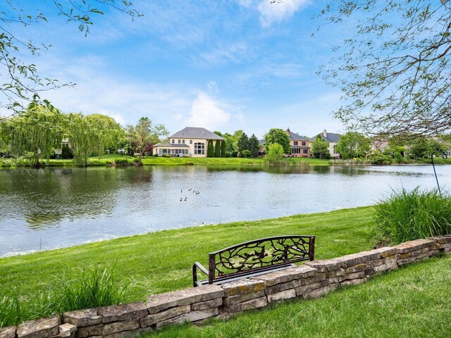 8171 Campden Lakes Blvd, Dublin, OH 43016 - water view