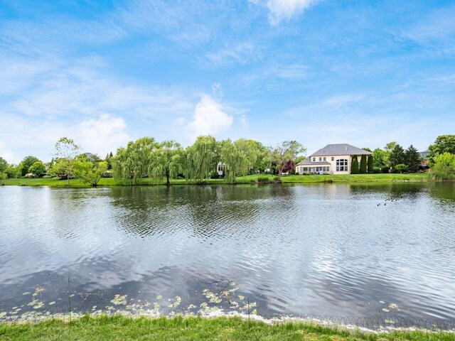 8171 Campden Lakes Blvd, Dublin, OH 43016 - water view
