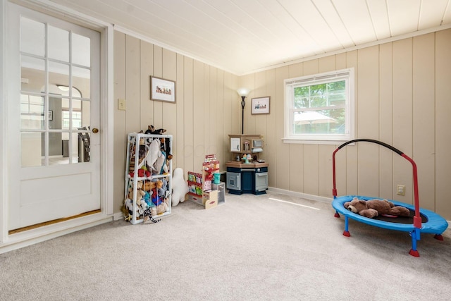 2008 N Edgemont Rd, Upper Arlington, OH 43212 - rec room featuring carpet flooring
