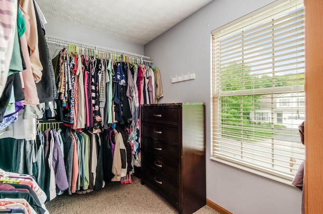 6249 Corley Dr, Dublin, OH 43016 - spacious closet with light carpet