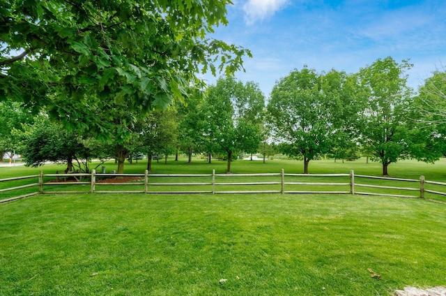 6249 Corley Dr, Dublin, OH 43016 - view of yard