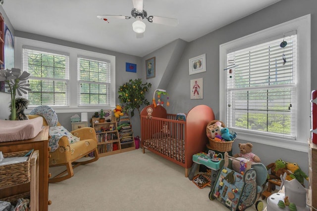 297 S James Rd, Columbus, OH 43213 - bedroom with multiple windows, carpet, and ceiling fan