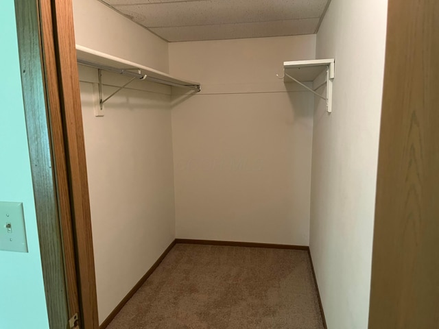 3965 Karl Rd Unit 200, Columbus, OH 43224 - walk in closet featuring carpet
