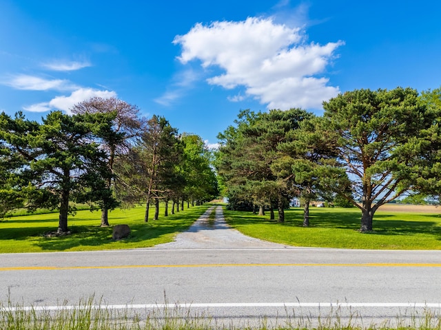 4842 State Route 734, Jeffersonville, OH 43128 - view of road