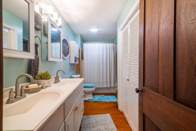 4842 State Route 734, Jeffersonville, OH 43128 - bathroom featuring toilet, double vanity, wood finished floors, and a shower with shower curtain