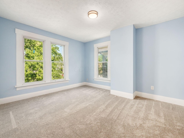 534 Berkeley Rd, Columbus, OH 43205 - unfurnished room with plenty of natural light, carpet flooring, baseboards, and a textured ceiling