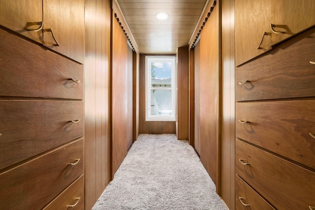 71 Market St, Carroll, OH 43112 - hall featuring carpet and wood walls