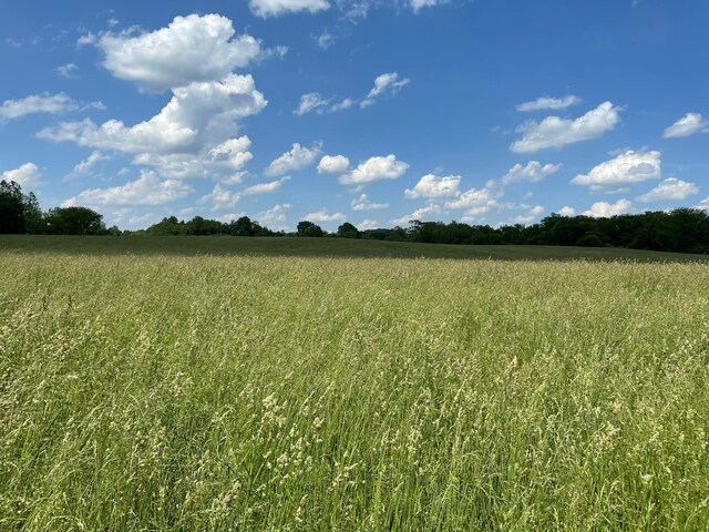 1400 Hayes Rd, Granville, OH 43023 - photo 82