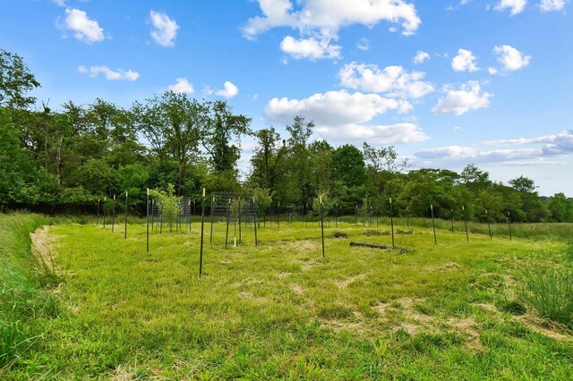 1400 Hayes Rd, Granville, OH 43023 - photo 76