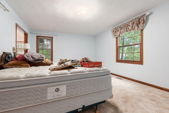 248 Academy Woods Dr, Columbus, OH 43230 - carpeted bedroom with baseboards