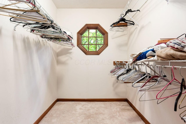 248 Academy Woods Dr, Columbus, OH 43230 - walk in closet with light carpet