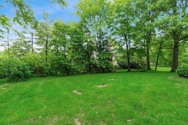 248 Academy Woods Dr, Columbus, OH 43230 - view of green lawn