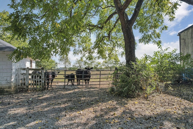 22119 State Route 104, Circleville, OH 43113 - view of yard