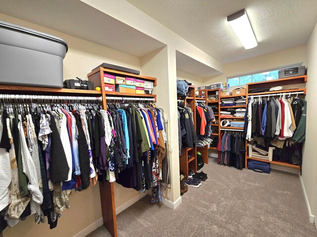 8701 Creekwood Pl, Canal Winchester, OH 43110 - spacious closet with carpet