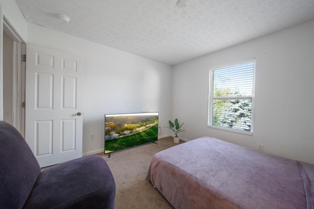 3297 Joshstock Dr Unit 3297D, Columbus, OH 43232 - carpeted bedroom with a textured ceiling