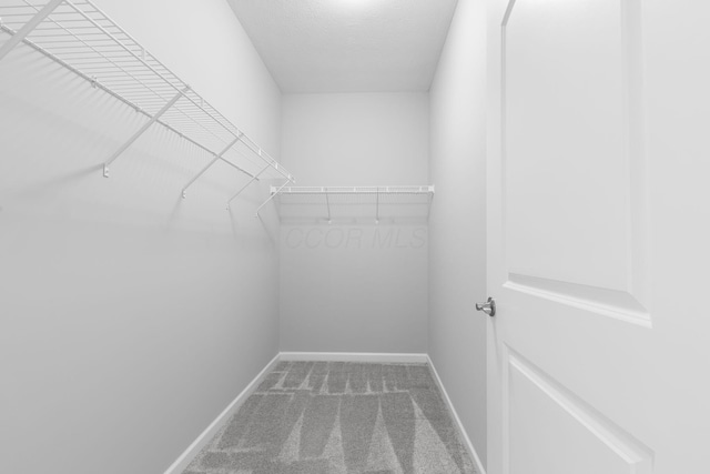 6051 Limewood Dr, Westerville, OH 43081 - spacious closet with carpet flooring