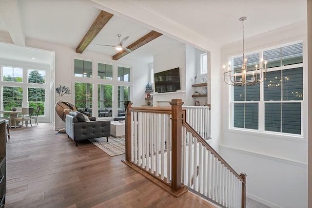 1526 Villa Way, Powell, OH 43065 - corridor with a chandelier, plenty of natural light, wood finished floors, beam ceiling, and an upstairs landing