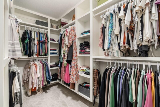 7306 Whimbrel Ln, Sunbury, OH 43074 - walk in closet with carpet floors