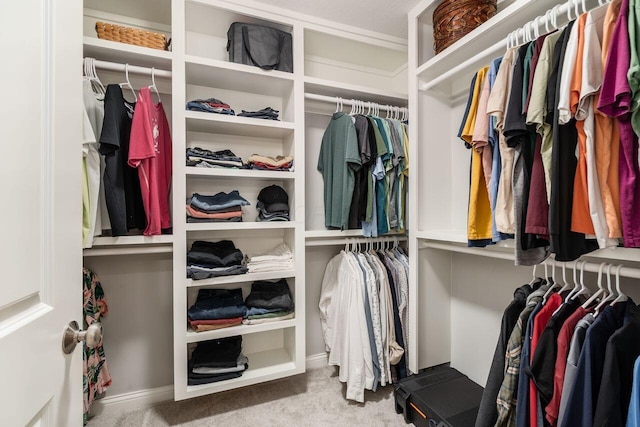 7306 Whimbrel Ln, Sunbury, OH 43074 - walk in closet featuring carpet floors