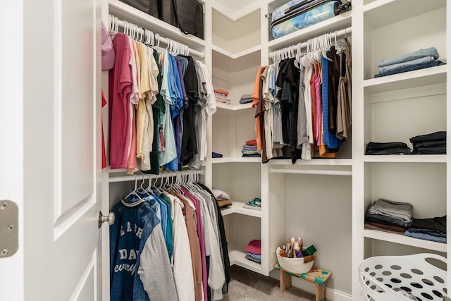 7306 Whimbrel Ln, Sunbury, OH 43074 - walk in closet featuring carpet flooring