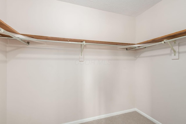 2353 Mccauley Ct Unit 6, Columbus, OH 43220 - spacious closet featuring carpet floors