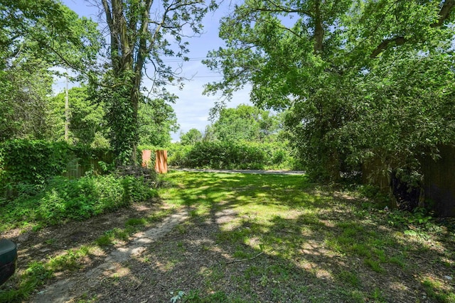 2278 Ridgeway Ave, Columbus, OH 43219 - view of yard