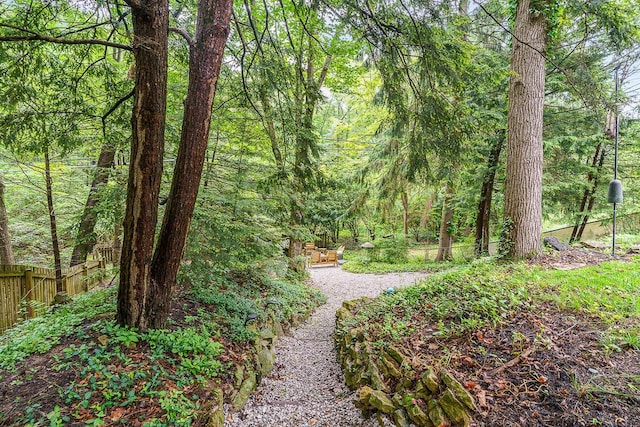 232 Hardy Way, Worthington, OH 43085 - view of yard featuring a forest view
