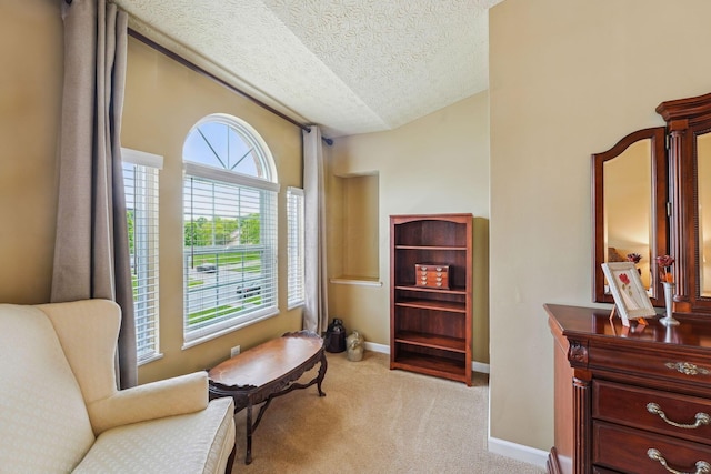 2407 Bryton Dr, Powell, OH 43065 - sitting room with a textured ceiling, light colored carpet, and baseboards