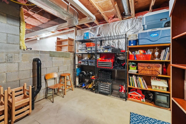 2407 Bryton Dr, Powell, OH 43065 - view of storage area