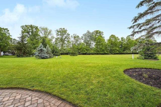 2407 Bryton Dr, Powell, OH 43065 - view of green lawn