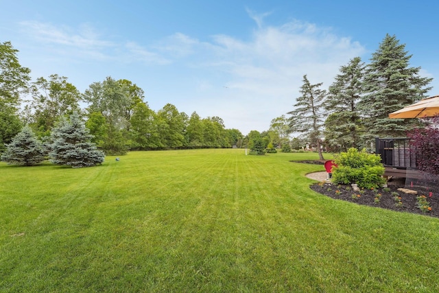2407 Bryton Dr, Powell, OH 43065 - view of green lawn