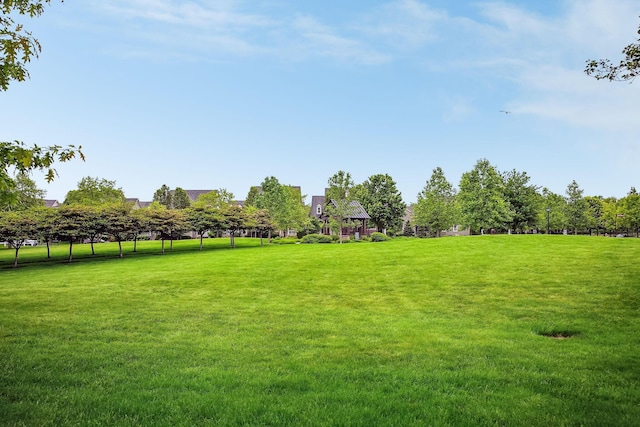6711 Cooperstone Dr, Dublin, OH 43017 - view of green lawn