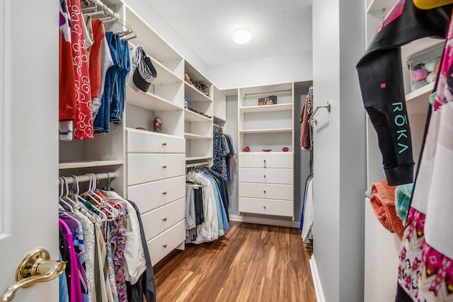 5552 Quail Hollow Way, Westerville, OH 43082 - walk in closet with wood finished floors