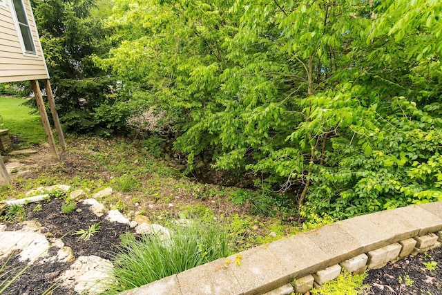 5552 Quail Hollow Way, Westerville, OH 43082 - view of yard