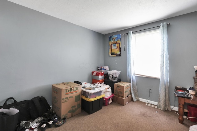5042 Lindora Dr, Columbus, OH 43232 - interior space featuring carpet floors and baseboards